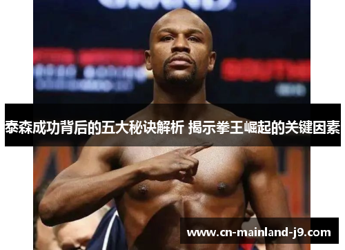 泰森成功背后的五大秘诀解析 揭示拳王崛起的关键因素