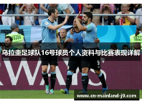 乌拉圭足球队16号球员个人资料与比赛表现详解