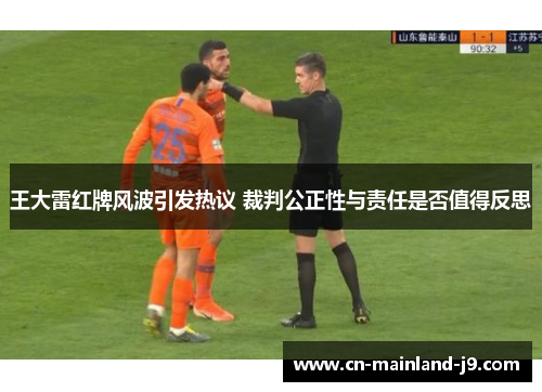 王大雷红牌风波引发热议 裁判公正性与责任是否值得反思