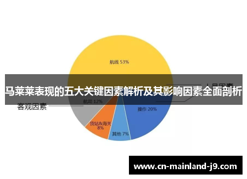 马莱莱表现的五大关键因素解析及其影响因素全面剖析 马莱莱表现的五大关键因素解析及其影响因素全面剖析